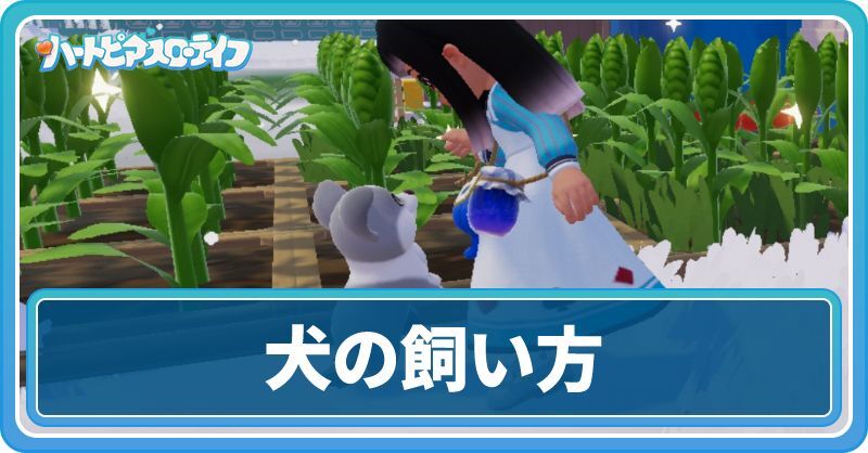 犬の飼い方