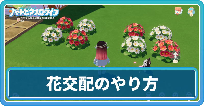 花交配のやり方