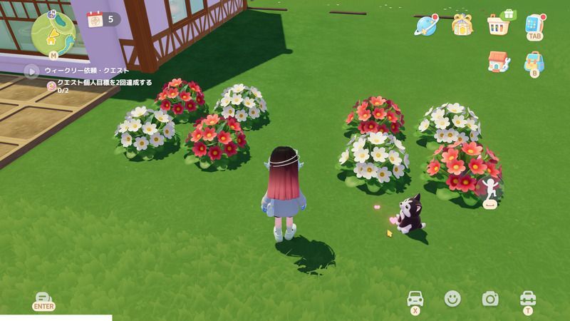 草花の種の植え方2