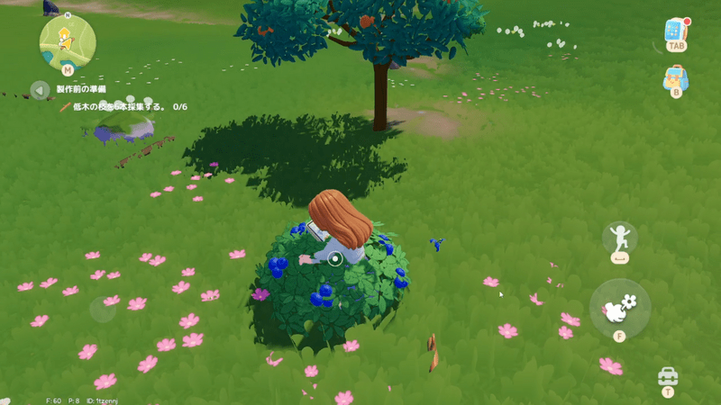 ブルーベリー採集