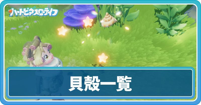 貝殻一覧