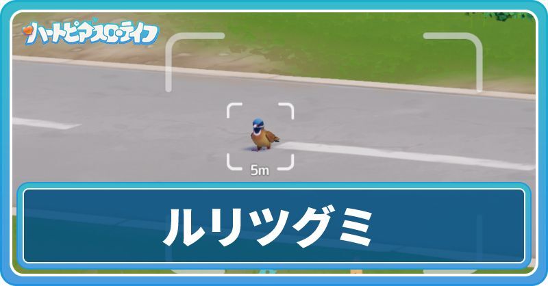 ルリツグミの入手方法