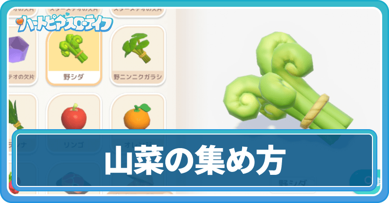山菜の集め方と回収ルート