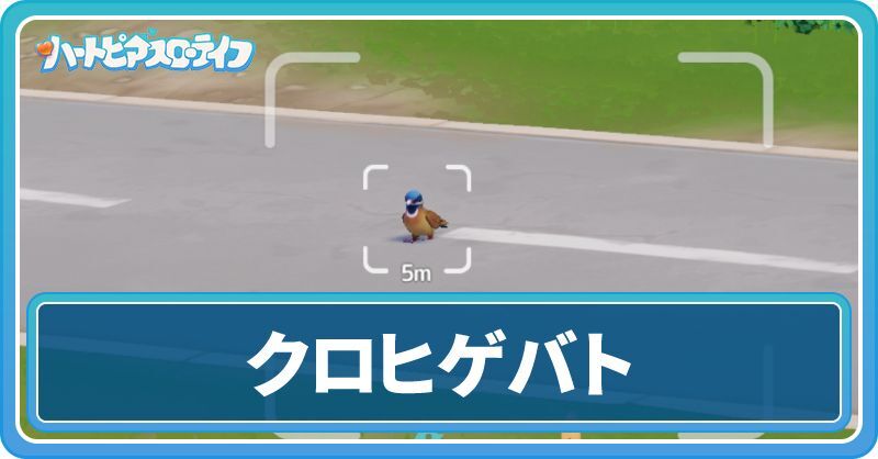 クロヒゲバトの入手方法