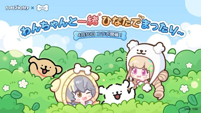 MALTESEコラボイベント