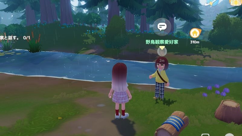 野鳥観察愛好家に会いに行き、木材を5つ渡す