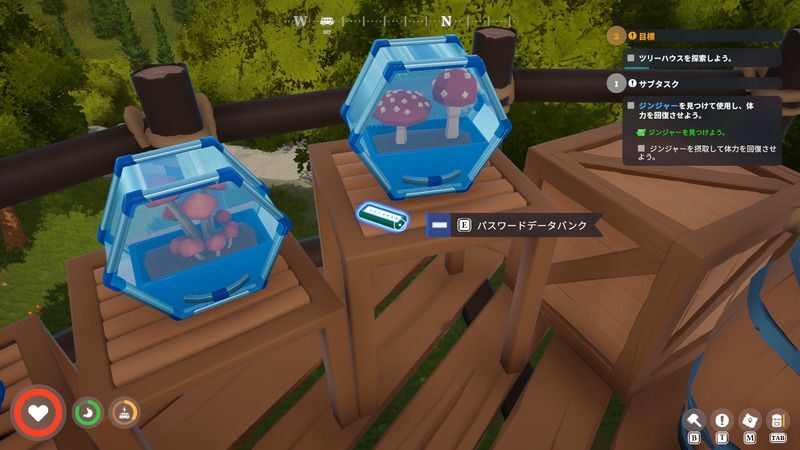 大きなツリーハウスのパスワード2