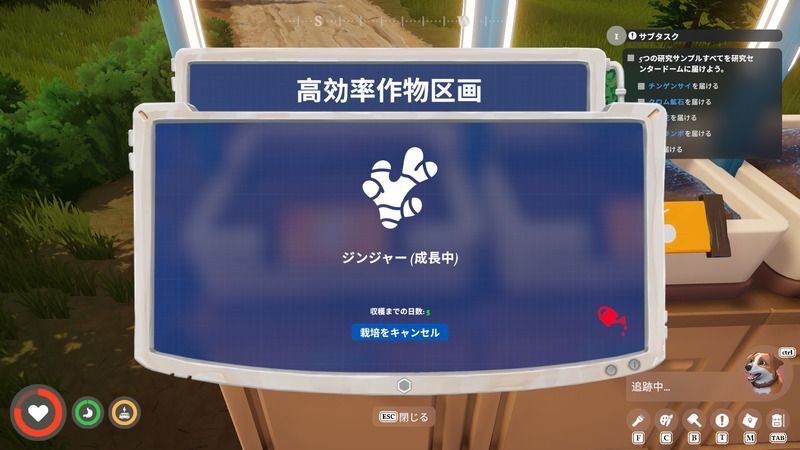 栽培