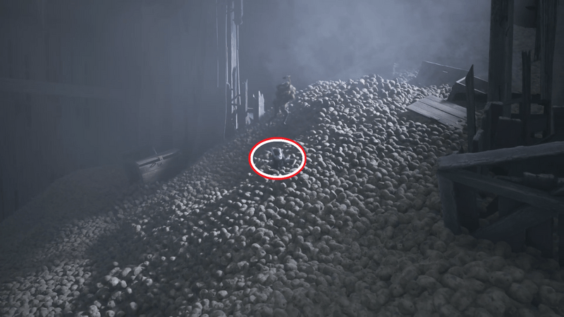 芋の山に埋まっている相棒を助ける