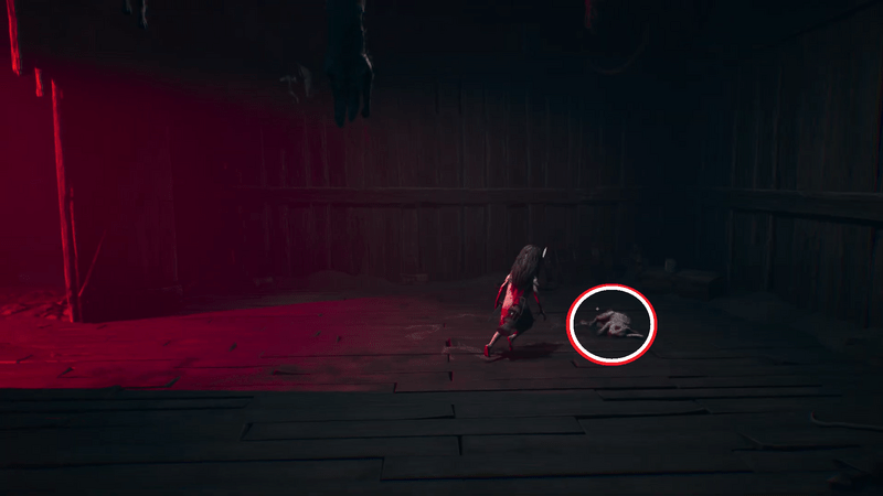 倒れているウサギを調べる