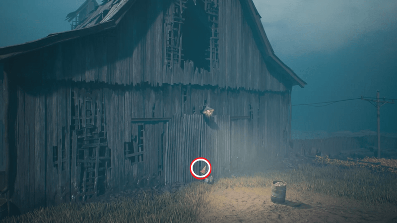 戸板の隙間から中を覗き込む