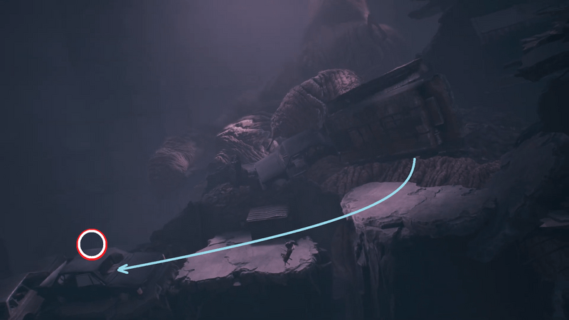 黒っぽい色の車の上へ飛び移る