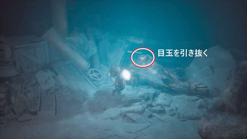 最奥で巨大生物の眼球を引き抜いて、持ち運ぶ