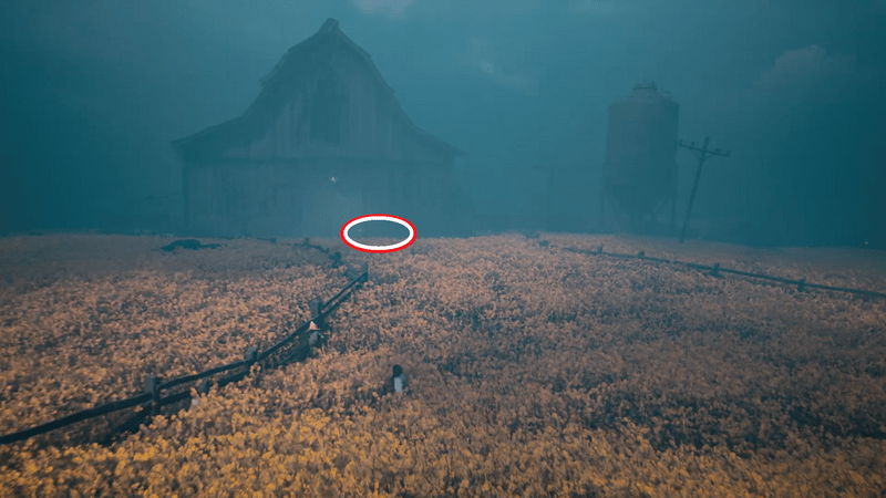 辺り一面が黄色い花畑