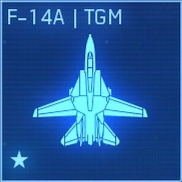 F-14A TGM