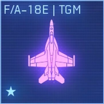 F／A-18E TGM