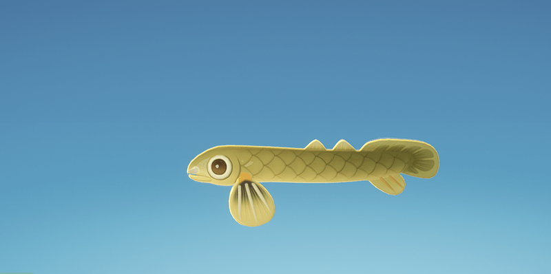 アミメウナギ