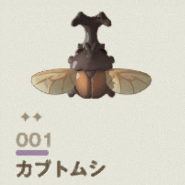 カブトムシ
