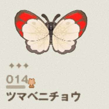 ツマベニチョウ
