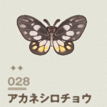 アカネシロチョウ