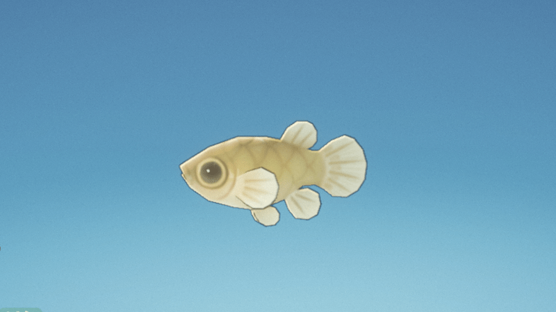 カダヤシ