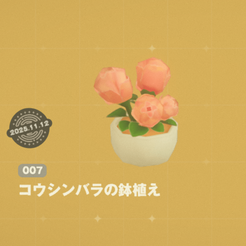 コウシンバラの鉢植え