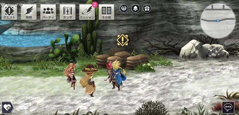 岩サボテンの実の入手場所2