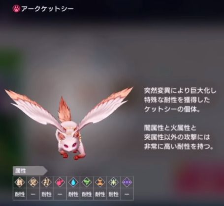 アークケットシー