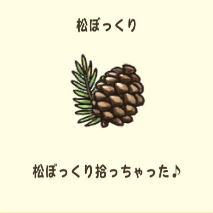 松ぼっくり