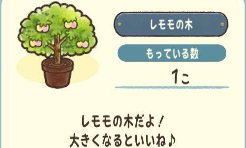 レモモの木