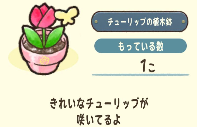 チューリップの植木鉢