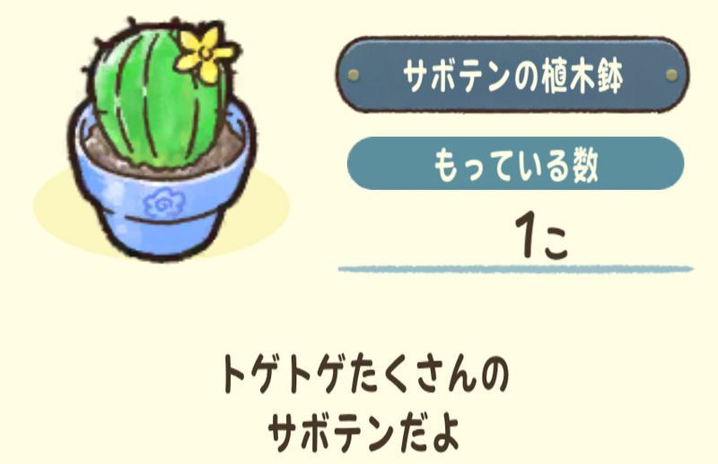 サボテンの植木鉢