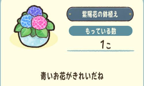紫陽花の鉢植え