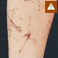 切創