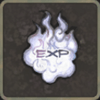 プレイヤーEXP