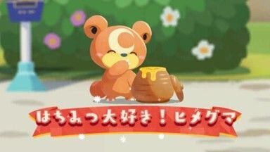 はちみつ大好き！ヒメグマ1