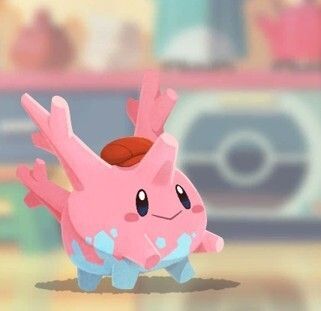 サニーゴ