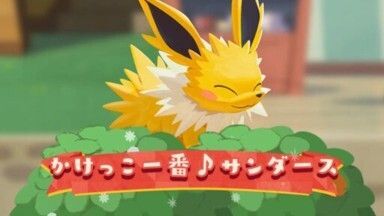 来店！　かけっこ一番♪サンダース1