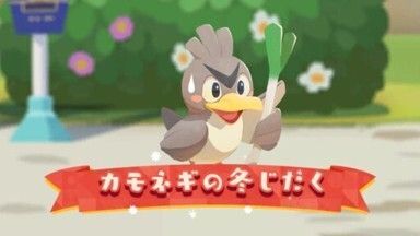 カモネギの冬じたく1