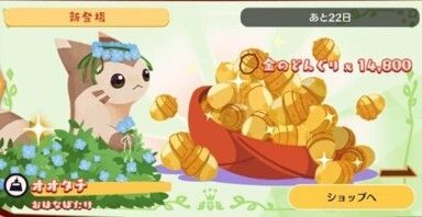 オオタチ　おはなパック1