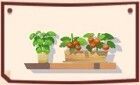 いつもの棚アイコン