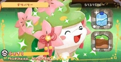 デリバリー_シェイミ（ランドフォルム）ぽかぽか茶屋1