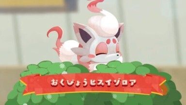 おくびょうヒスイゾロア（2025）1