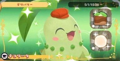 デリバリー_チコリータ1