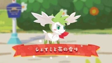 シェイミと花の香り(2026)1