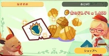 ヒノアラシ　料理メモパック1