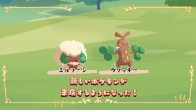 コオリッポカプレーゼ6