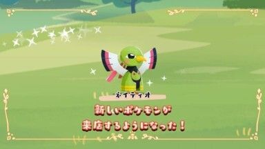 チコリータのブルスケッタ6
