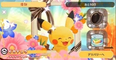 デリバリー_ピカチュウフラワーフレーム2