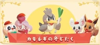 カモネギの冬じたく2